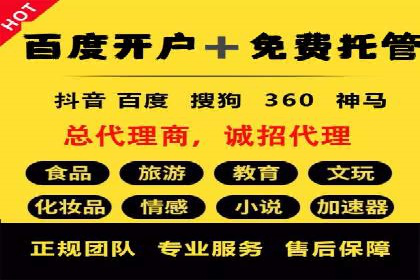 SEM服务在旅游行业的应用案例